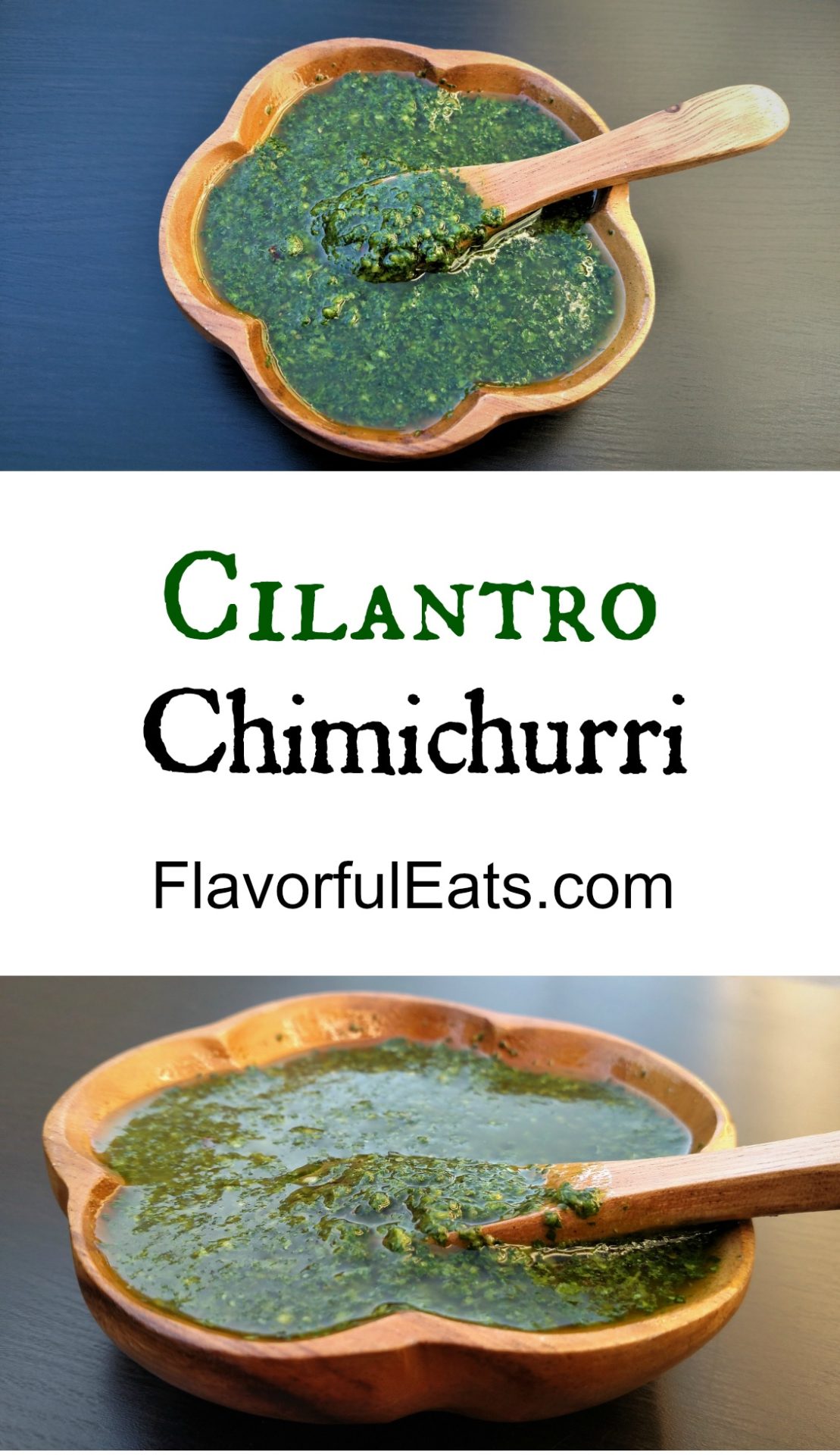 Cilantro Chimichurri