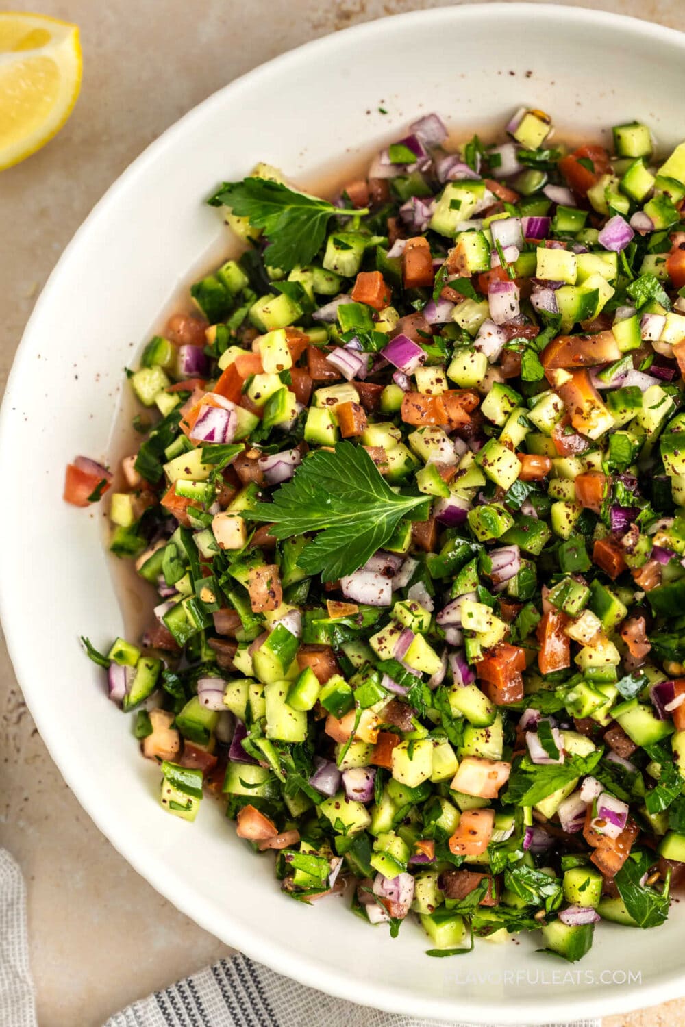 Middle Eastern Salad Shirazi up close.