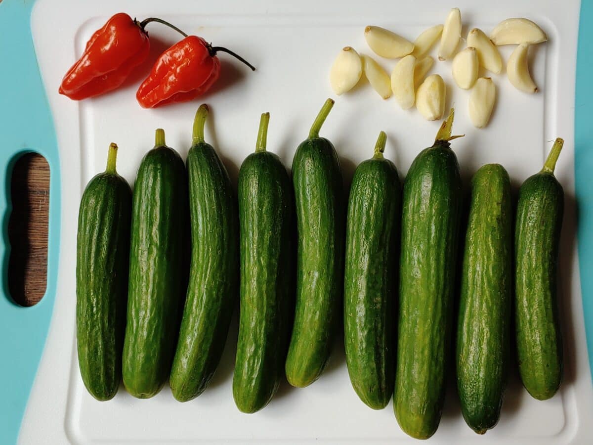 Cucumbers, garlic, and habaneros, getting ready to make Habanero Garlic Pickles.