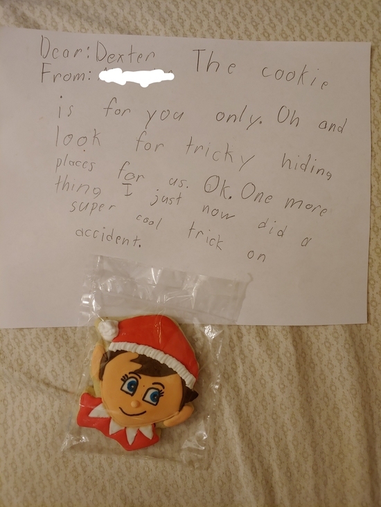 Elf on the Shelf