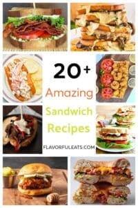Pinterest pin for 20+ Amazing Sandwich Recipes.