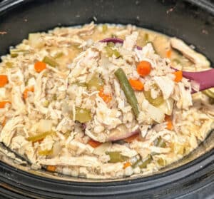Slow Cooker Chicken Barley Stew in the slow cooker with a ladle pulling some out